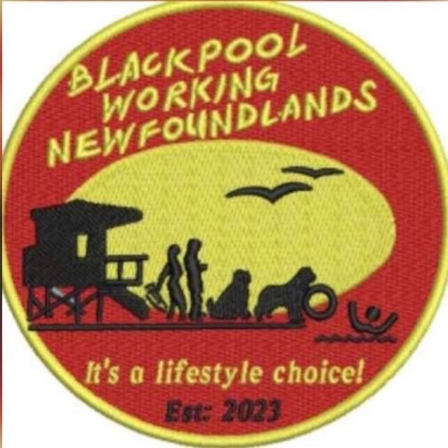Logo of Blackpool Working Newfoundlands