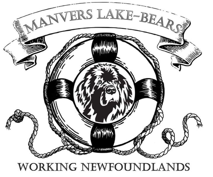 Logo of Manvers Lake Bears