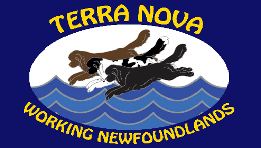 Logo of Terra Nova Working Newfoundlands